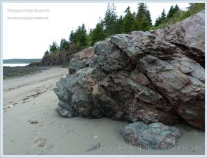 Rock outcrops at Red Point in Anchorage Provincial Park on Grand Manan