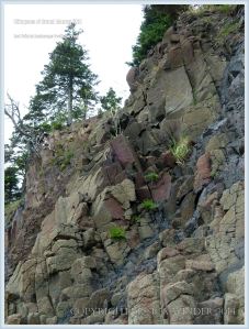Red Point rocks on Grand Manan
