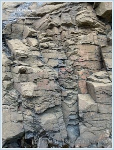 Red Point rocks on Grand Manan