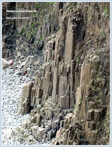 South Head columnar basalt on Grand Manan