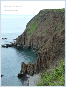 South Head columnar basalt on Grand Manan