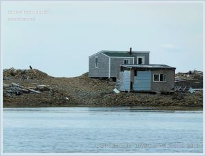 Pebble bank surrounding Dark Harbour on Grand Manan