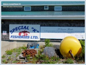 Lobster transit depot on Grand Manan