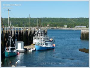 North Head Harbour on Grand Manan