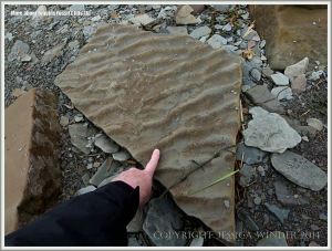 Ripples in stone