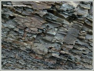 Natural abstract patterns and textures in rocks