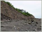 View looking south at Joggins Fossil Cliffs