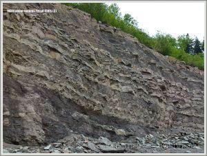Upper Carboniferous, Pennsylvanian, Cumberland Group cliff strata in Nova Scotia