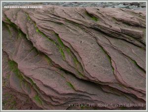 Natural abstract patterns and textures in rocks