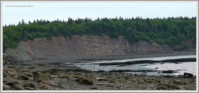View of Joggins Fossil Cliffs inclined strata