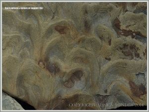 Natural abstract patterns and textures in rocks