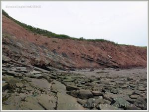 Cliffs and reef near Coal Mine Point at Joggins Fossil Cliffs