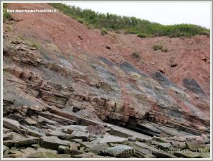 Cliffs and reef near Coal Mine Point at Joggins Fossil Cliffs