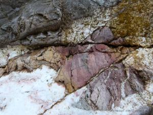 Fault breccia in the fault gully at Mewslade Bay