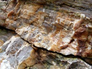 Calcite crystals in the fault gully at Mewslade Bay