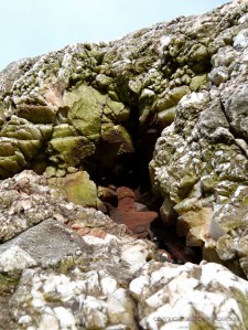 Calcite crystals and red haematite in the fault gully at Mewslade Bay