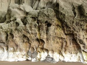 Band of white calcite exposed at the base of the cliffs in Mewslade Bay