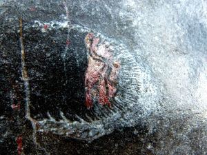 Coral fossil in limestone at Mewslade Bay