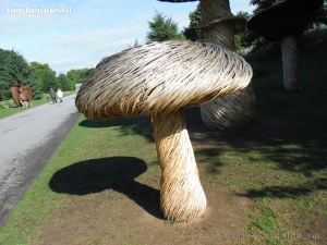 Larger than life willow sculptures of fungi by Tom Hare