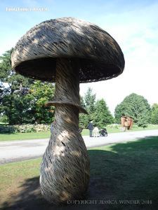 Larger than life willow sculptures of fungi by Tom Hare