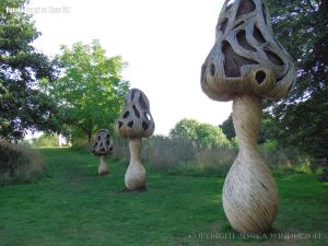 Larger than life willow sculptures of fungi by Tom Hare
