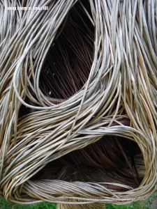 Close-up of the basketwork weaving of a larger than life willow sculpture of fungi by Tom Hare