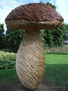 Larger than life willow sculptures of fungi by Tom Hare