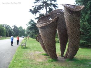 Larger than life willow sculptures of fungi by Tom Hare