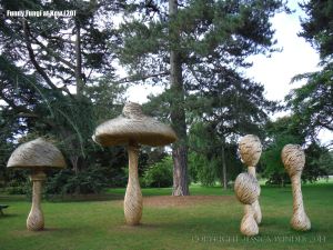 Larger than life willow sculptures of fungi by Tom Hare