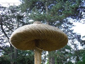Larger than life willow sculptures of fungi by Tom Hare