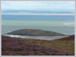 Mesolithic flint working took place on the tidal island of Burry Holms.