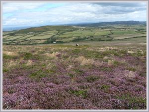 Neolithic chambered tomb in Gower