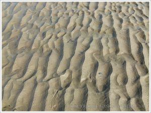 Sand ripple pattern on the beach at Lyme Regis