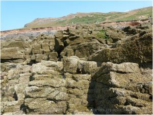 Jagged 2 metre high rocks form an obstacle course for visitors to the causeway