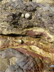 Fault lines across the Causeway rocks are filled with white calcite and red haematite.