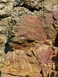 The rusty coloured patches of newly broken rock are due to iron minerals in the limestone