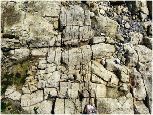 Natural fracture patterns in levelled limestone strata at the centre of the Worms Head Causeway