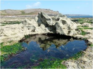 Unusual naturally-sculpted limestone reflected in a weed-filled tidal pool on the Worms Head Causeway