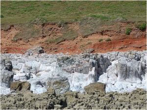 View of the Rhossili headland and beach from out on the Worms Head Causeway