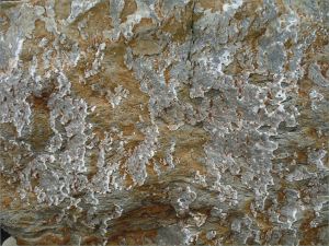 Rock pattern and texture in a beach boulder