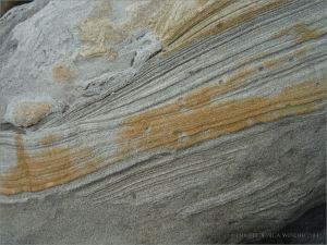 Rock pattern and texture in a beach boulder