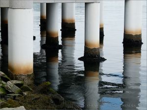 Bands of barnacles and mussels on the waterline of metal support piles beneath a harbourside building