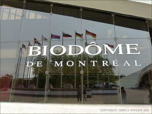 Entrance to the Biodome