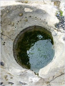 Near perfectly circular rock pool eroded into the limestone at Burry Holms.
