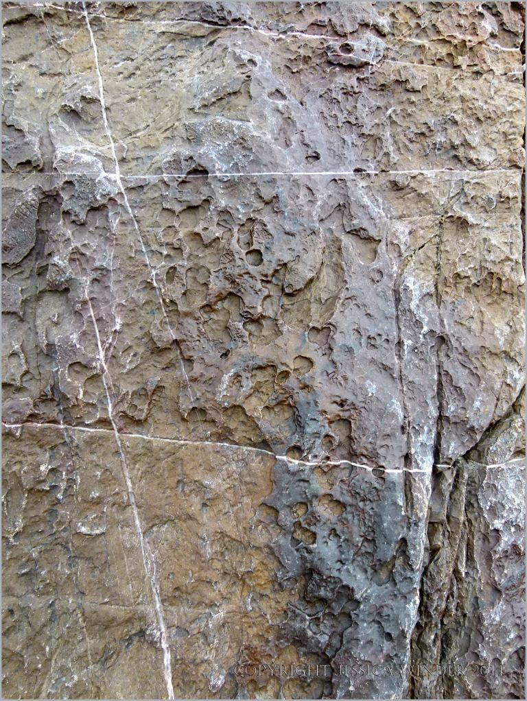 The effects of erosion on the surface of limestone in seashore cliffs