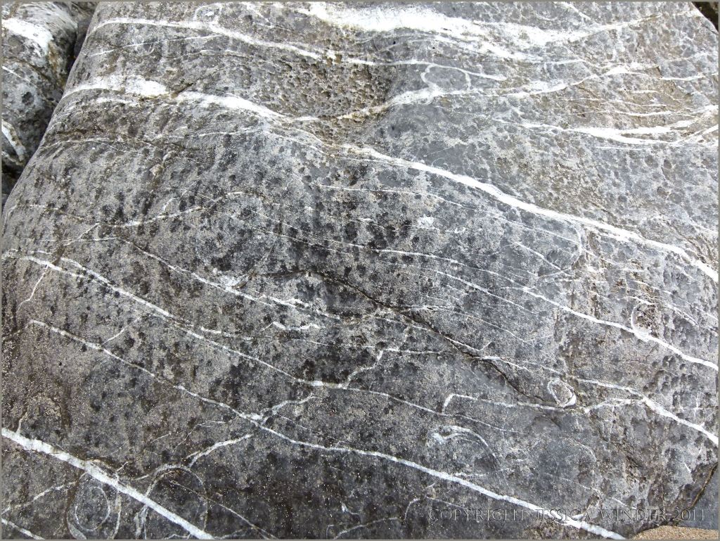 Rock Patterns & Textures at Tenby – Part 2 – Jessica's Nature Blog