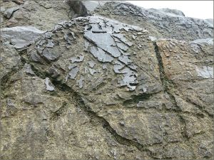 Fine irregular grooves and ridges on limestone