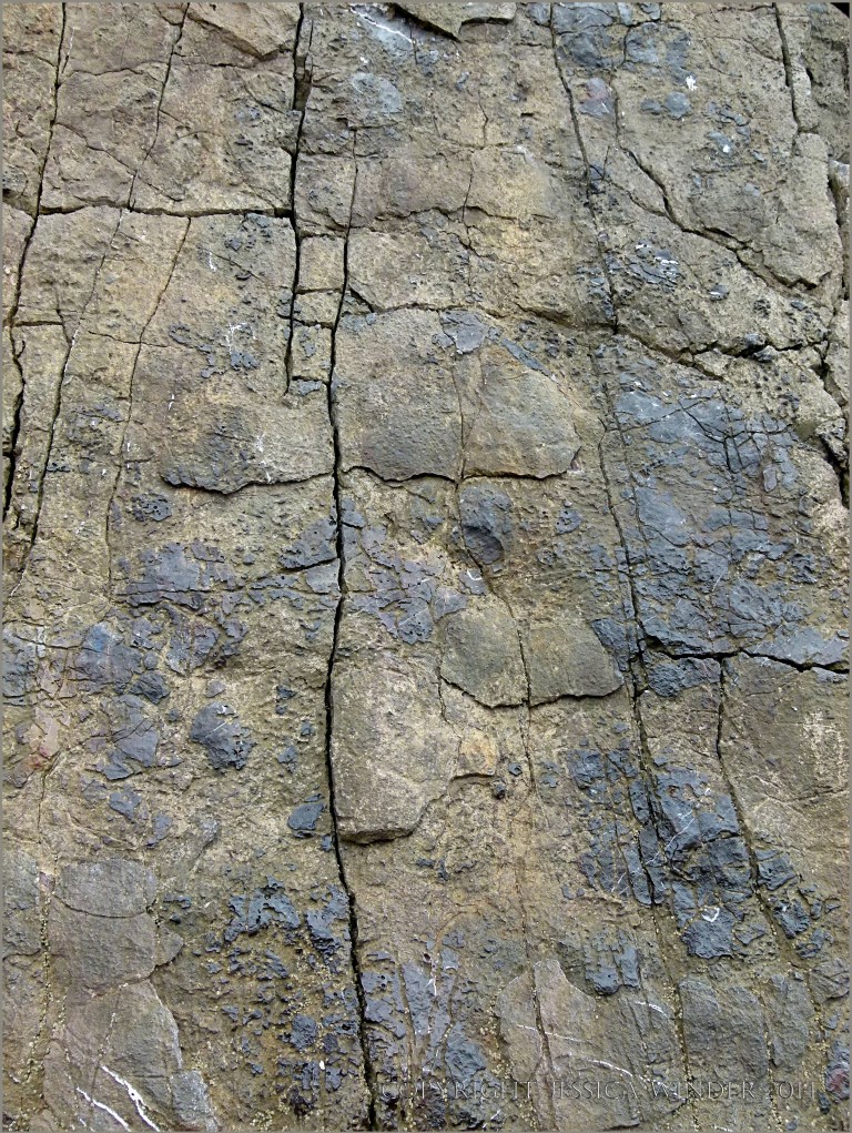 Dark patches of rock colonised by bacteria on the eroding surface of naturally fractured limestone