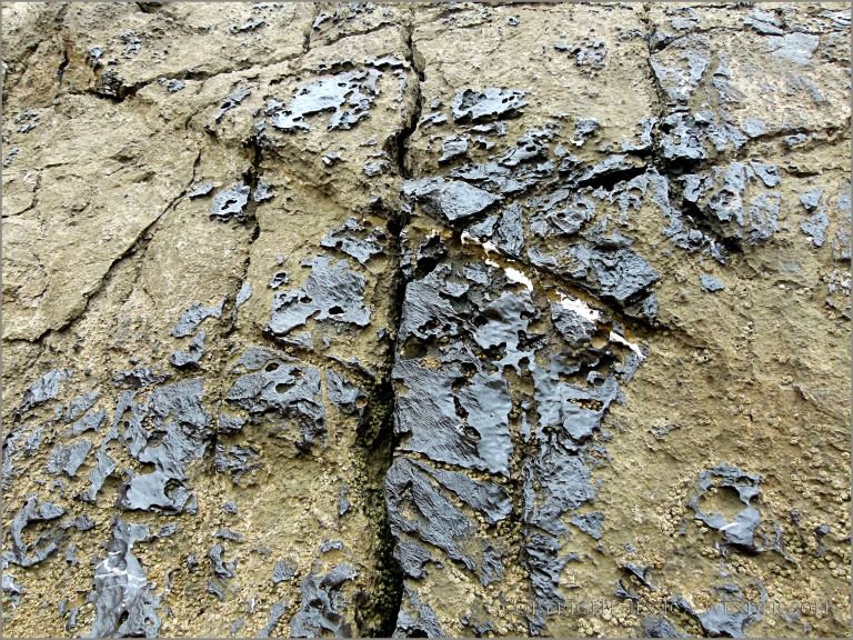 Dark patches of rock colonised by bacteria on the naturally-fractured and eroding surface of limestone