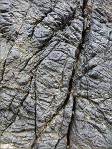 Odd pattern of cracks and grooves in limestone - resembling the tough wrinkled skin of elephant and rhinocerous hide